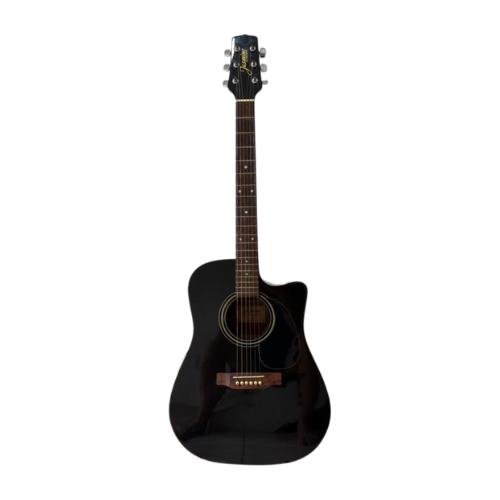 Jasmine by Takamine ES31C